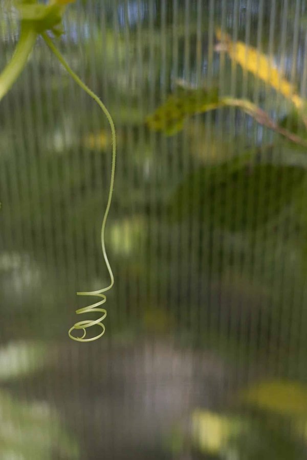 Comment la thérapie cognitivo-comportementale peut-elle être adaptée pour les enfants avec TDAH ?