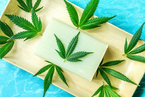 Guide pratique du cbd : utilisations et bienfaits expliqués